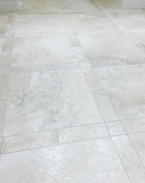 Hard Floor Cleaners