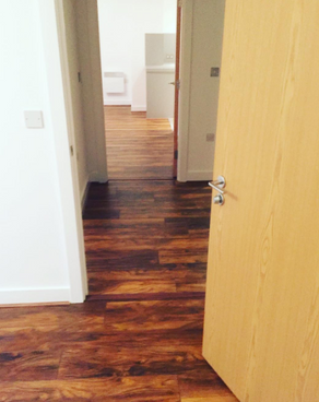 Hard Wooden Floor Cleaning